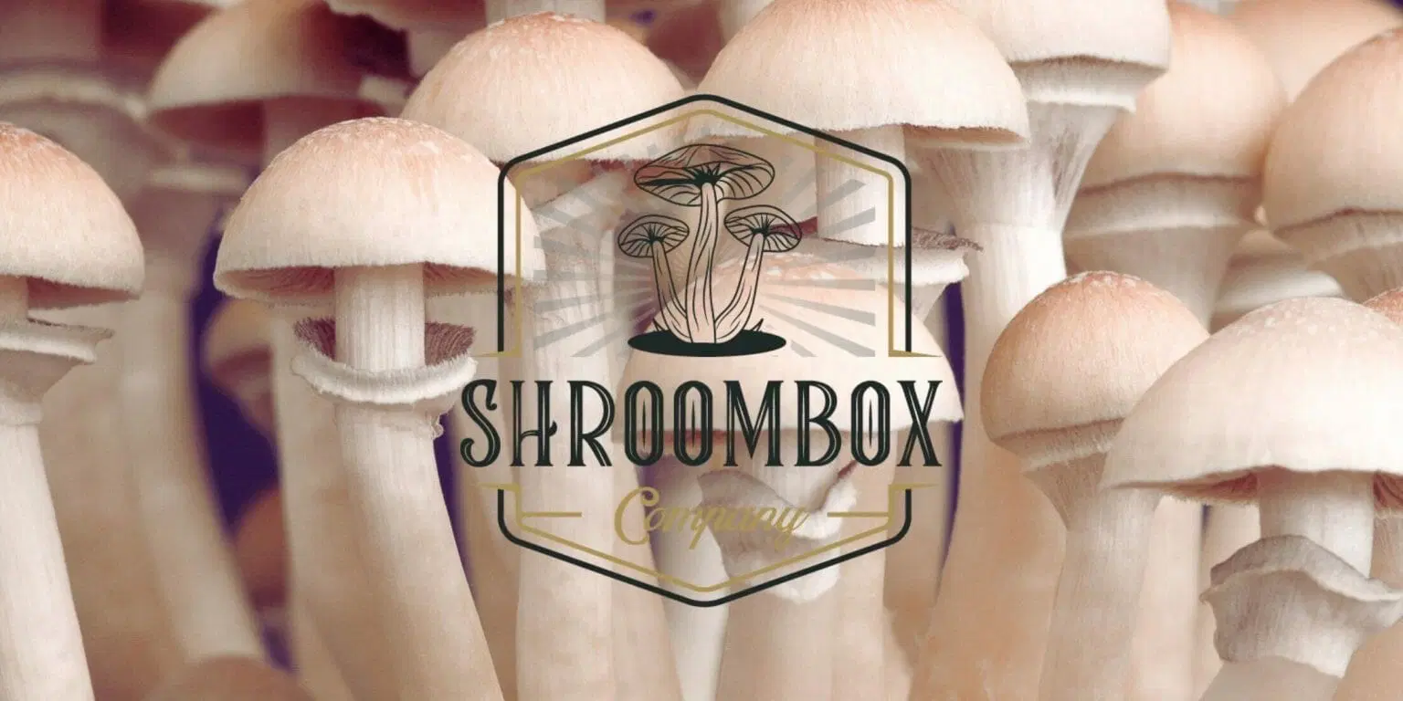 Shroombox