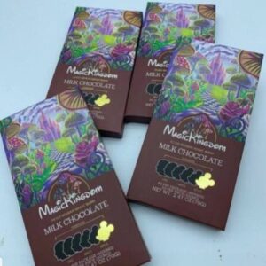 Magic Kingdom Chocolate