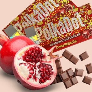 Polkadot Chocolate Bars